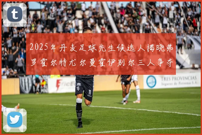2025年丹麦足球先生候选人揭晓弗罗霍尔特尤尔曼霍伊别尔三人争夺荣耀