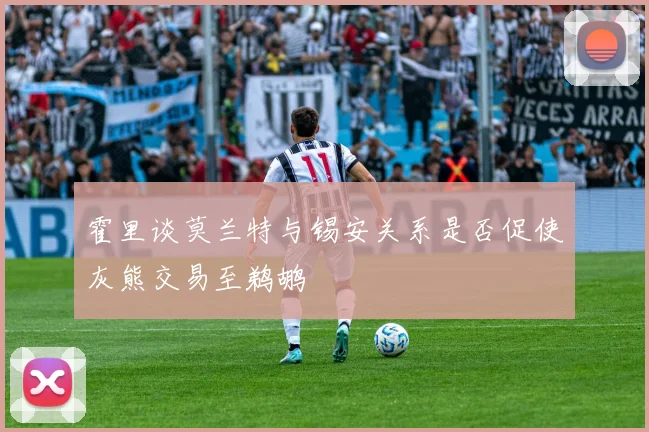 霍里谈莫兰特与锡安关系是否促使灰熊交易至鹈鹕